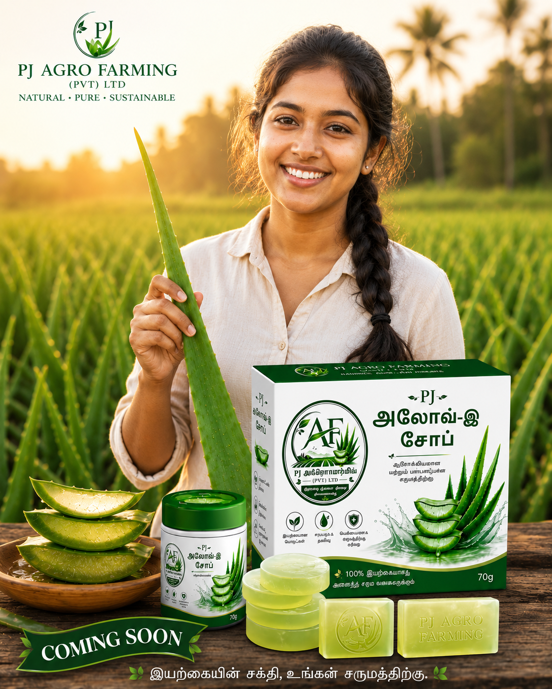 Farmer holding aloe vera in the field